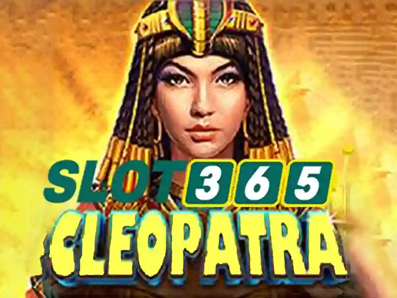 Slot365 Sportsbook