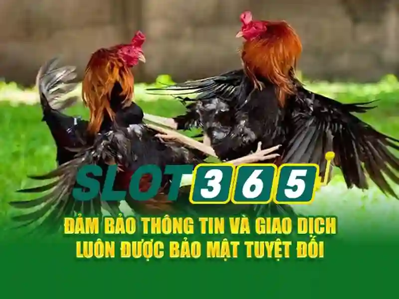 An Toàn & Uy Tín