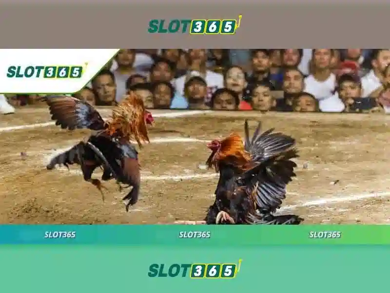 HỖ TRỢ SLOT365