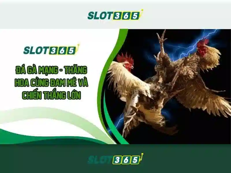 Ưu Điểm Slot365 Ios