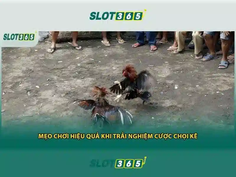 SLOT365 Pulsa Tanpa Potongan