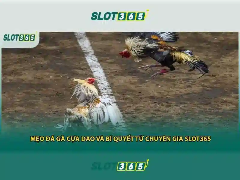 Hướng Dẫn Đăng Nhập Slot365