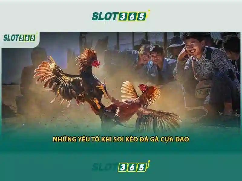 Slot365 Khuyến Mãi Hấp Dẫn