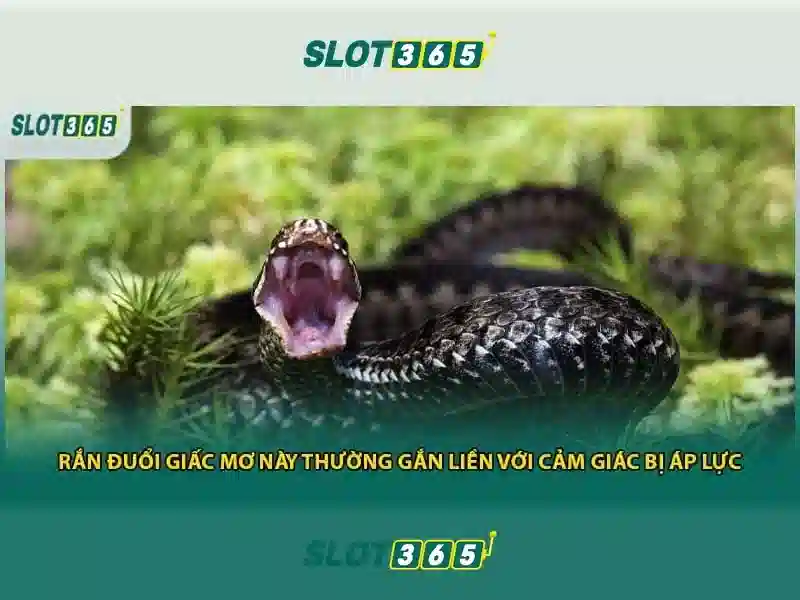 slot365 login link
