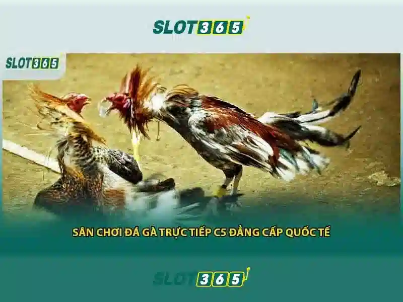 Tính năng Slot365 an toàn không