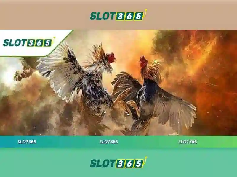 Tại Sao Nên Chọn Slot365
