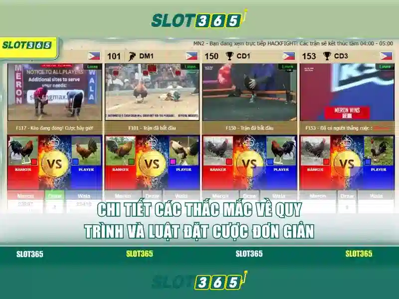SLOT365 – Link vào chính thức
