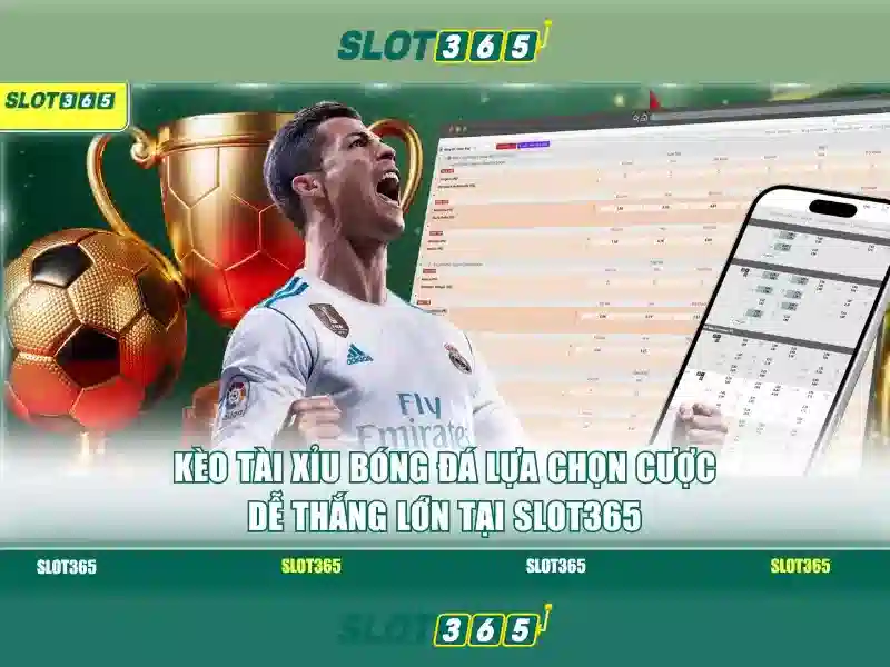Hỗ trợ khách hàng 24/7
