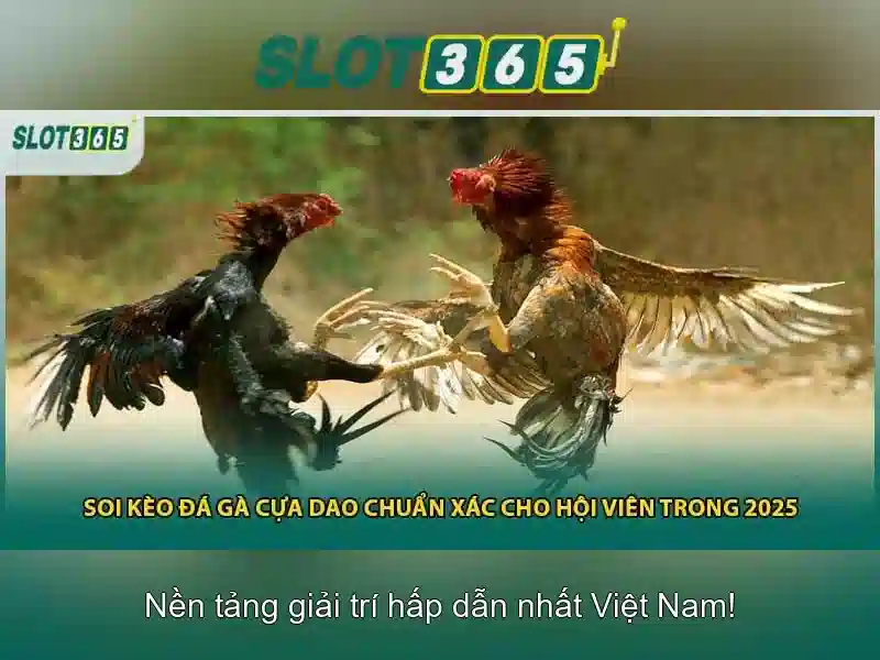 Tại Sao Nên Chọn SLOT365