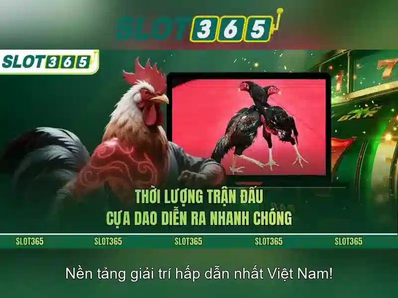 Slot365 khuyến mãi
