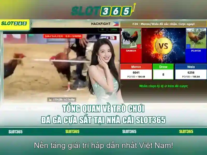 Tại Sao Chọn Slot365