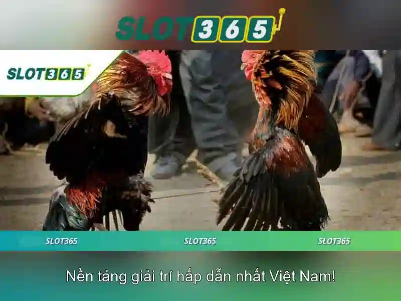 Ưu Điểm Slot365