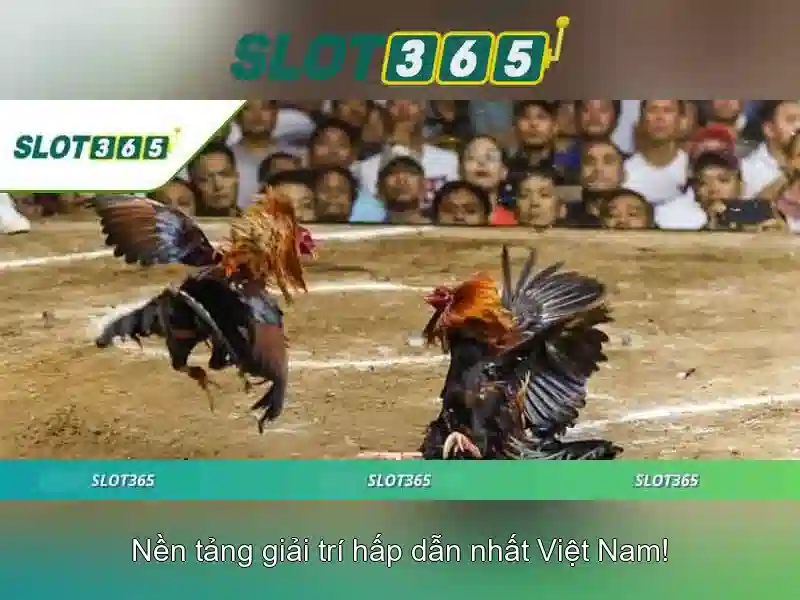 Hướng dẫn nạp tiền SLOT365