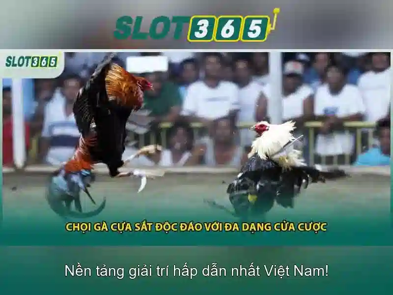 Ưu Điểm Nổi Bật Của Slot365