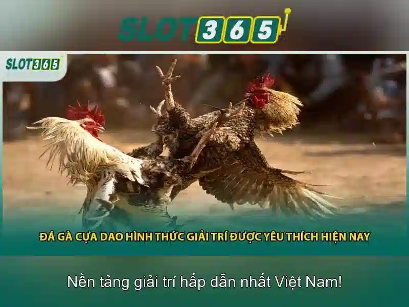 Dịch Vụ Rút Tiền Slot365