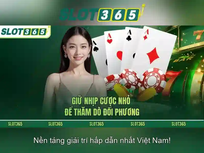 SLOT365 – Nền Tảng Giải Trí Cược Số 1 Việt Nam