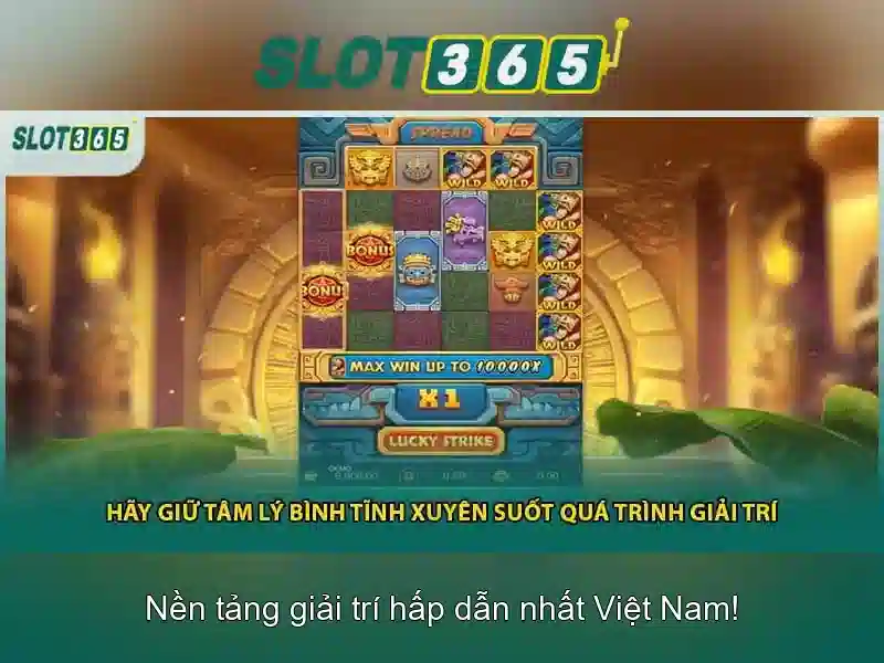 Hướng Dẫn Liên Hệ