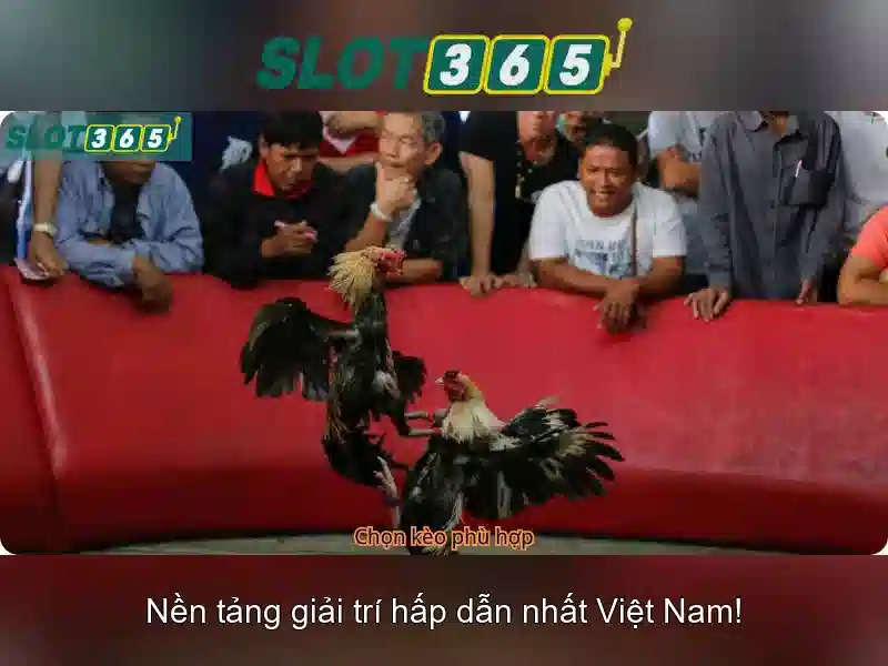 SLOT365 App