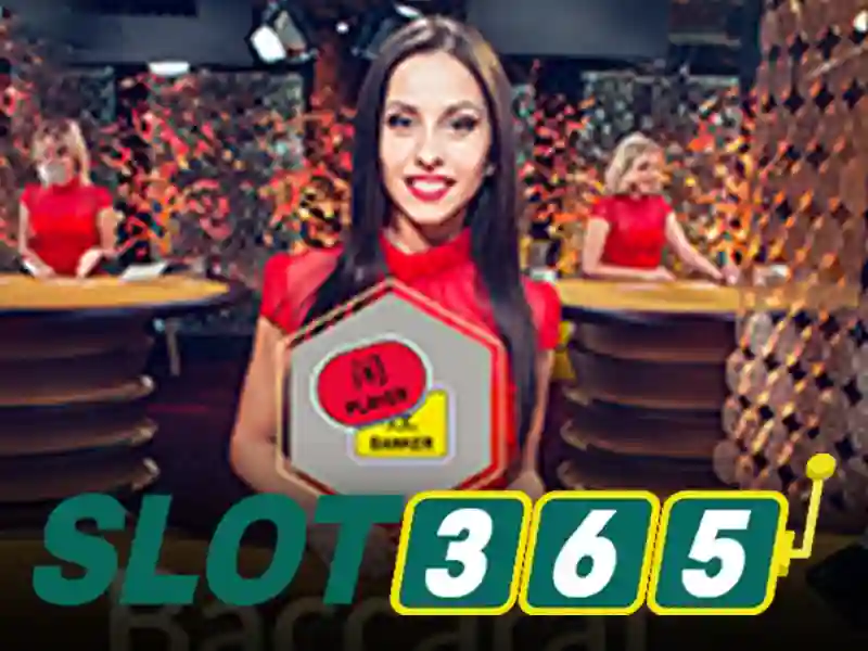 Dịch Vụ Slot365
